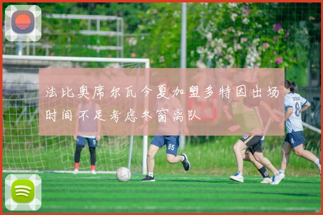 法比奥席尔瓦今夏加盟多特因出场时间不足考虑冬窗离队