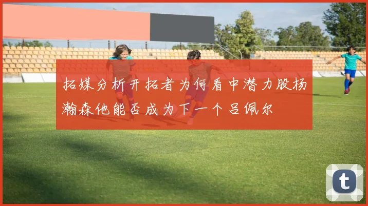 拓媒分析开拓者为何看中潜力股杨瀚森他能否成为下一个吕佩尔