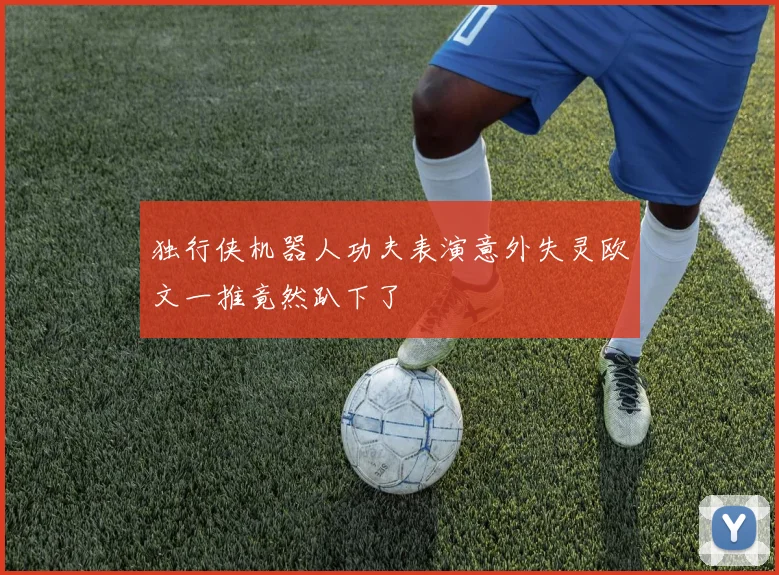 独行侠机器人功夫表演意外失灵欧文一推竟然趴下了